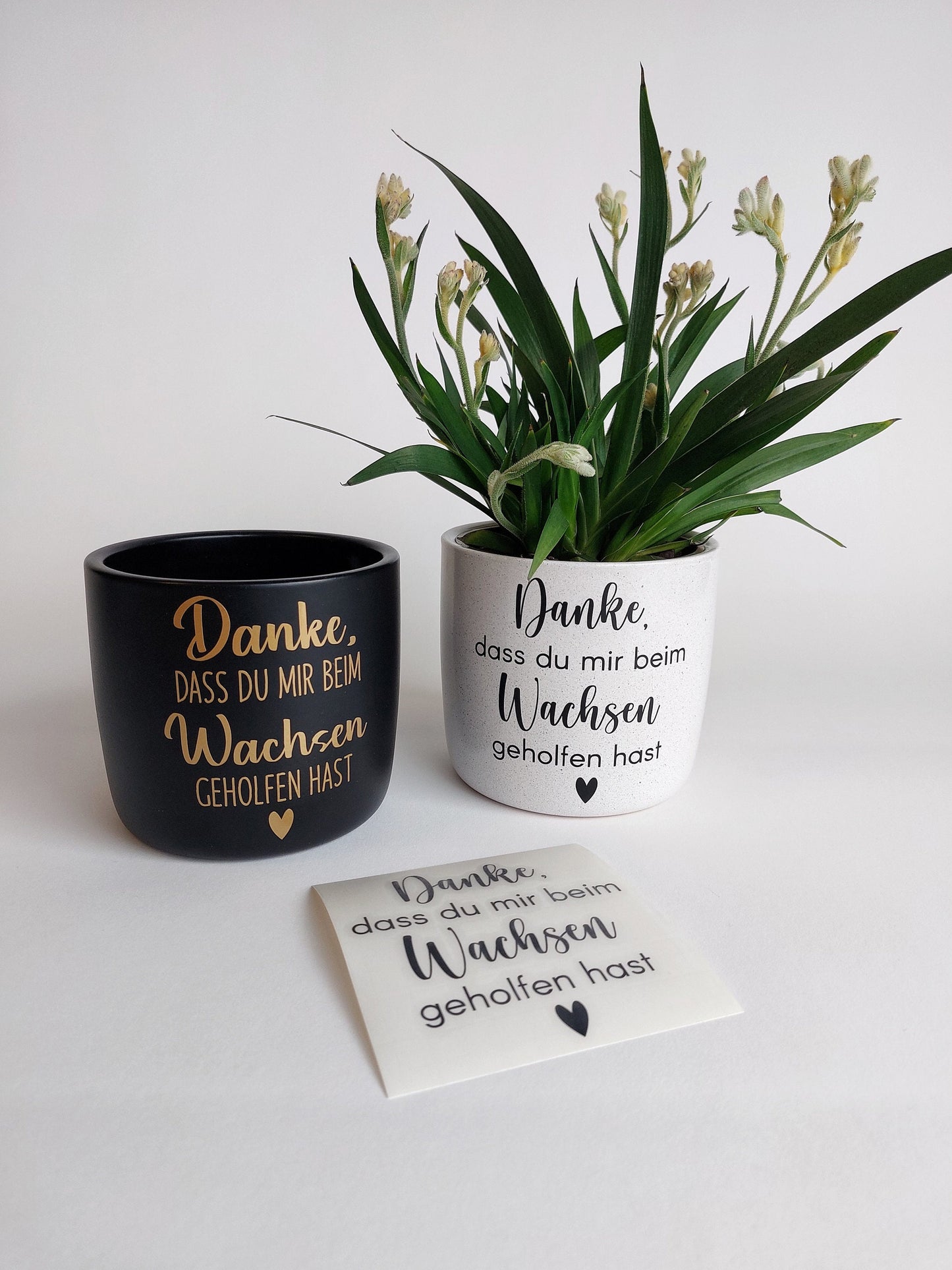 Keramik Blumentopf Wachsen | Danke, dass du mir beim Wachsen geholfen hast | Ø13/Ø15cm | weiß meliert schwarz matt Hebamme Erzieher Geschenk