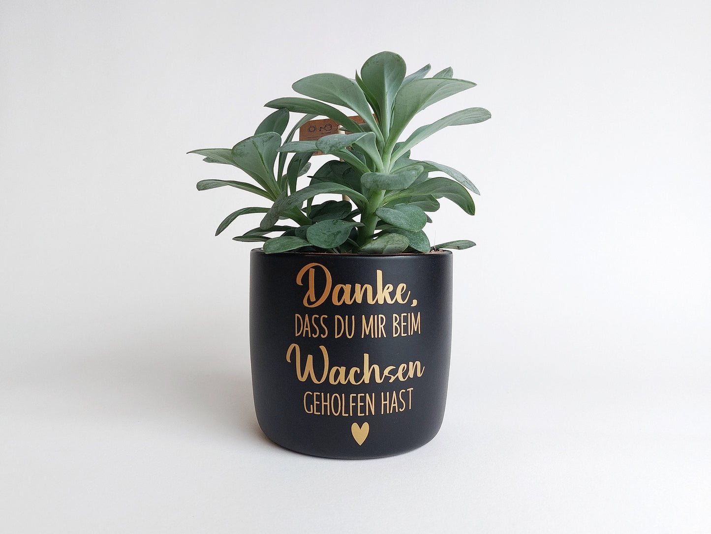 Keramik Blumentopf Wachsen | Danke, dass du mir beim Wachsen geholfen hast | Ø13/Ø15cm | weiß meliert schwarz matt Hebamme Erzieher Geschenk