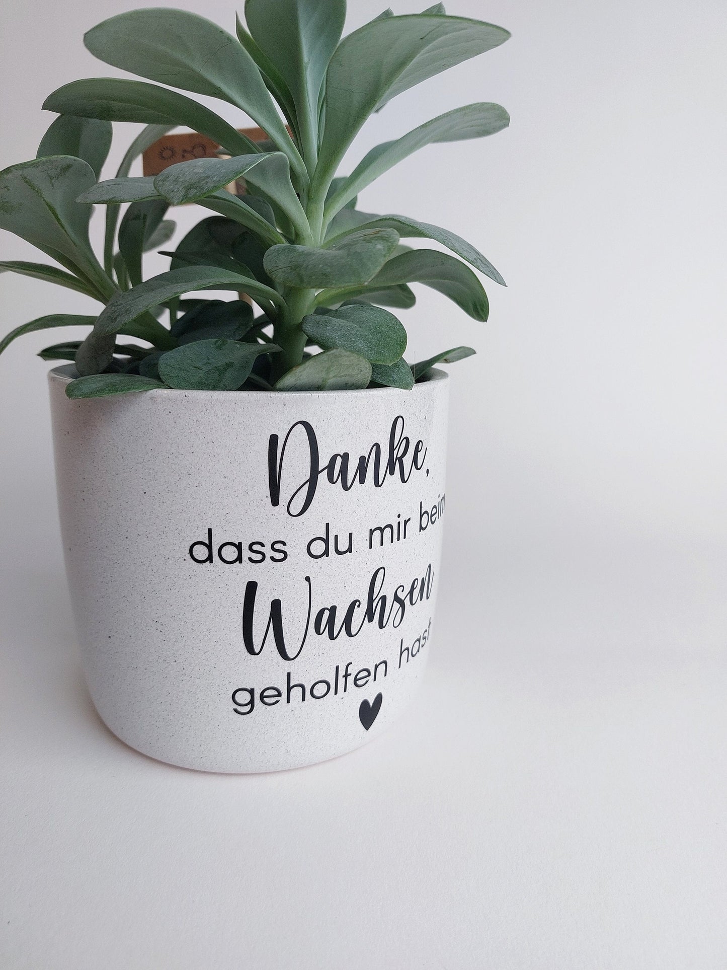 Keramik Blumentopf Wachsen | Danke, dass du mir beim Wachsen geholfen hast | Ø13/Ø15cm | weiß meliert schwarz matt Hebamme Erzieher Geschenk