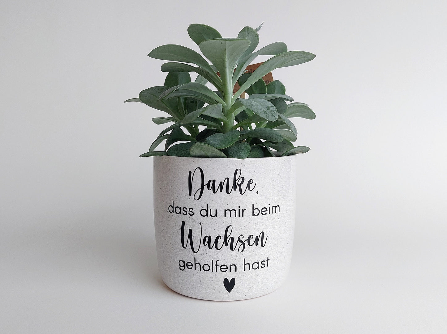 Keramik Blumentopf Wachsen | Danke, dass du mir beim Wachsen geholfen hast | Ø13/Ø15cm | weiß meliert schwarz matt Hebamme Erzieher Geschenk