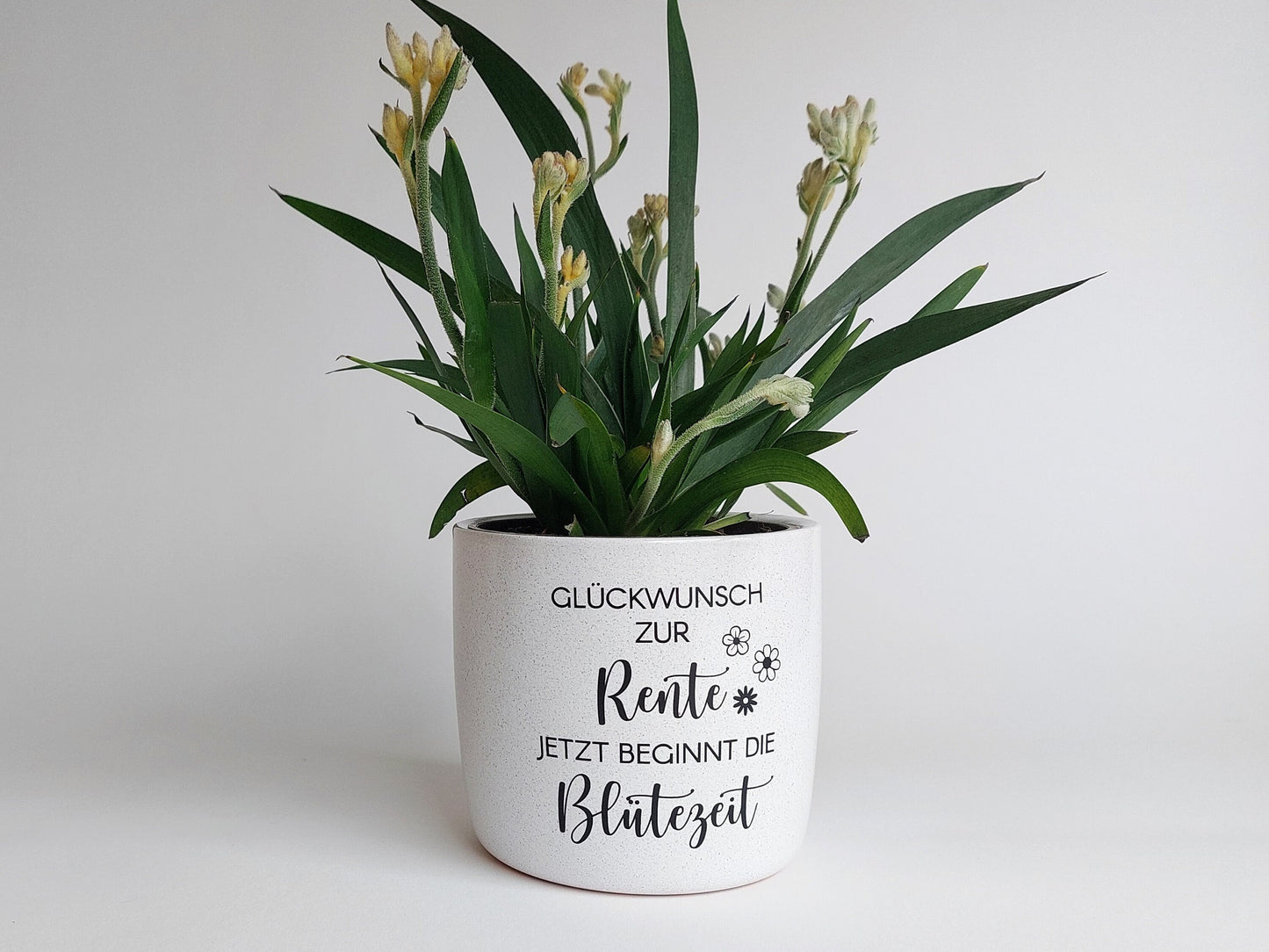 Rente Beginn - Keramik Blumentopf Blütezeit | "Glückwunsch zur Rente, jetzt beginnt die Blütezeit" | Ø13cm / Ø15cm weiß meliert schwarz matt - SelfmadeStudio