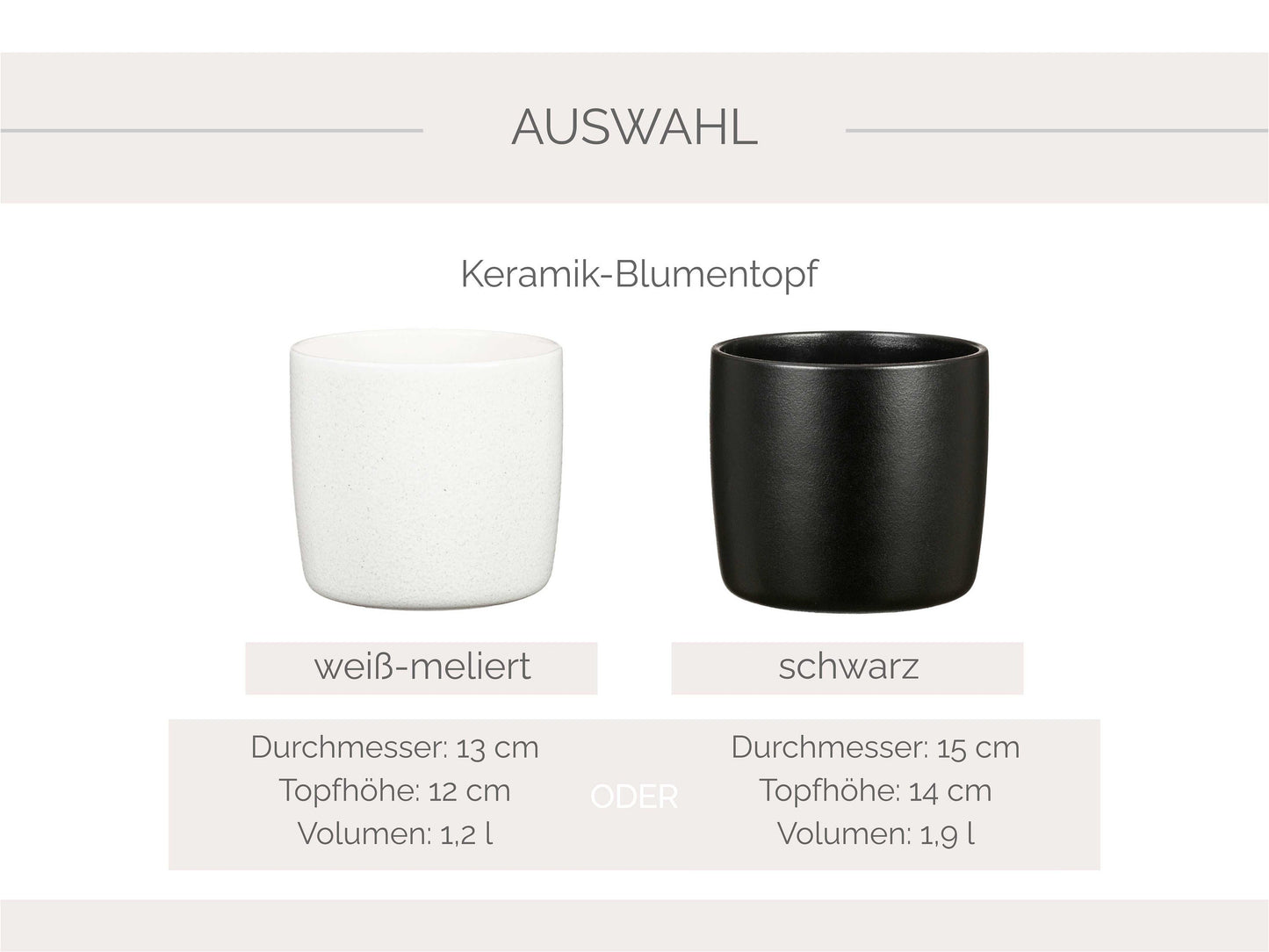 Glossy - Blumentopf Wachsen | Danke, dass du mir beim Wachsen geholfen hast mit Keramik Topf - Ø13/Ø15cm / Ø13 Ehlo-Topf oder nur Aufkleber - SelfmadeStudio