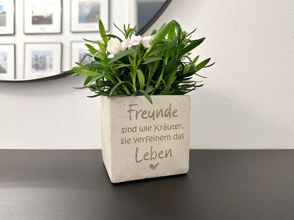 Quadratischer Blumentopf in Betonoptik mit Gravur ‚Freunde sind wie Kräuter, sie verfeinern das Leben ❤️‘, gefüllt mit kleiner Zimmerpflanze, vor Spiegel mit hellem Hintergrund, Betonoptik und sichtbare Gravur gut erkennbar