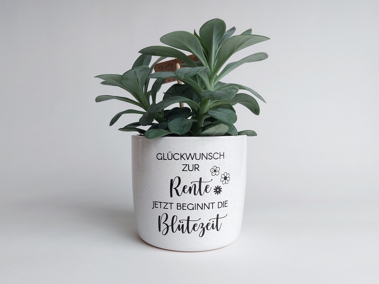 Rente Beginn - Keramik Blumentopf Blütezeit | "Glückwunsch zur Rente, jetzt beginnt die Blütezeit" | Ø13cm / Ø15cm weiß meliert schwarz matt - SelfmadeStudio
