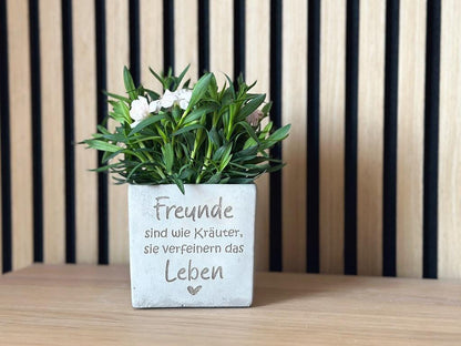 Quadratischer Blumentopf in Betonoptik mit sichtbarer Gravur ‚Freunde sind wie Kräuter, sie verfeinern das Leben ❤️‘, dekorativ bepflanzt, auf dunklem Hintergrund, Betonstruktur und matte Keramikoberfläche erkennbar