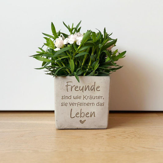 Quadratischer Blumentopf in Betonoptik mit Gravur ‚Freunde sind wie Kräuter, sie verfeinern das Leben ❤️‘, gefüllt mit grüner Zimmerpflanze, auf hellem Hintergrund fotografiert, zeigt matte Oberfläche und Beton-Unregelmäßigkeiten.